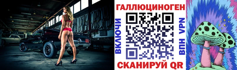 мега маркетплейс  Гаджиево  Псилоцибиновые грибы Psilocybe 